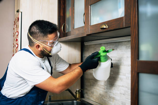  Monroeville, AL Pest Control Pros