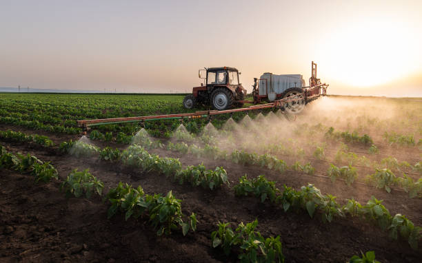 Reliable Monroeville, AL Pest Control Solutions