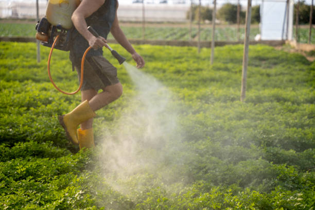 Best Affordable Pest Control Services  in Monroeville, AL