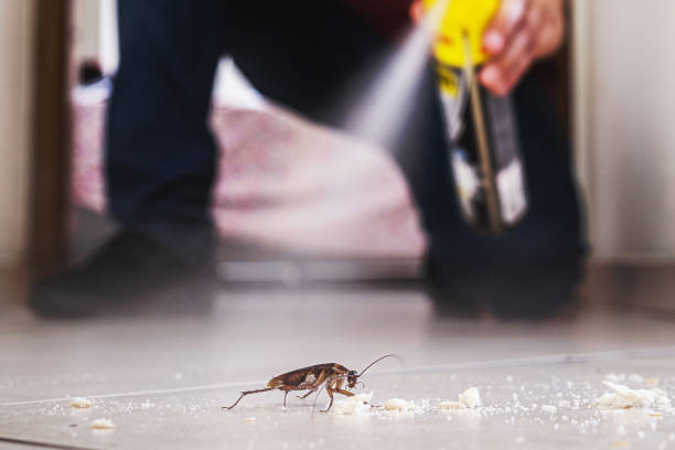 Best Mosquito Control Services  in Monroeville, AL