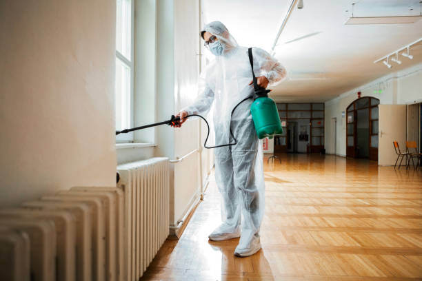 Best Rat Extermination Near Me  in Monroeville, AL