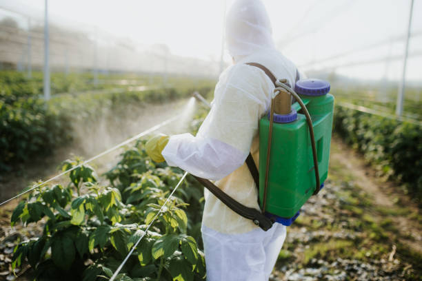 Best Flea Control Services  in Monroeville, AL